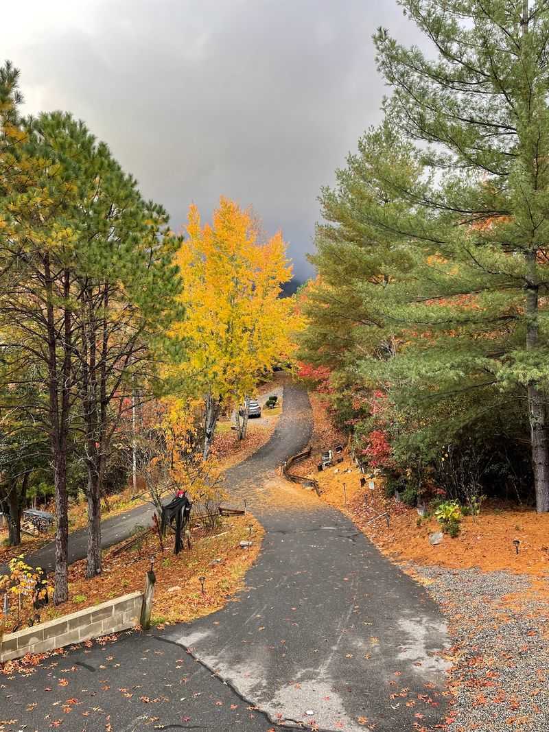 A Quiet Road That Leads Somewhere Special