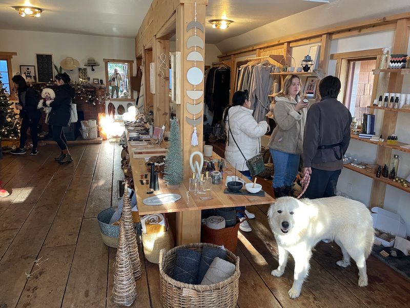 A Little Shop In The Heart Of Idyllwild
