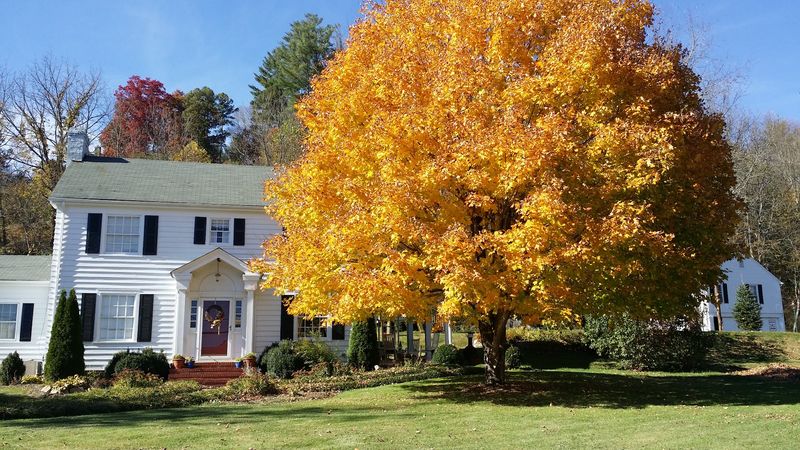North Carolina Has A Hidden Mountain Town That Locals Try To Keep To Themselves Every Fall - Decor Hint A Surprisingly Serious Arts Scene Hides Behind The Quiet Main Street