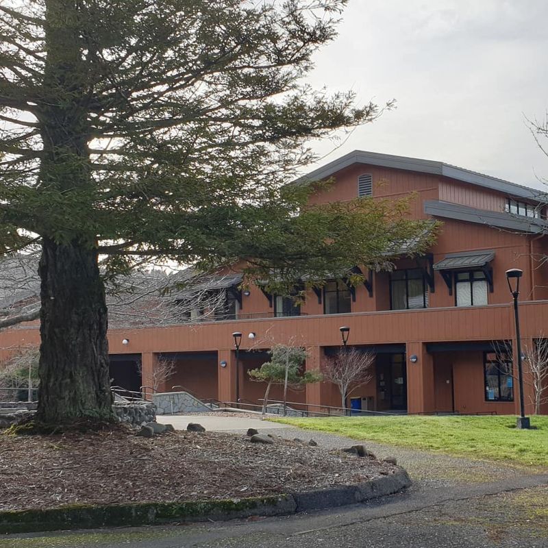 A College Campus Surrounded By Towering Redwood Trees