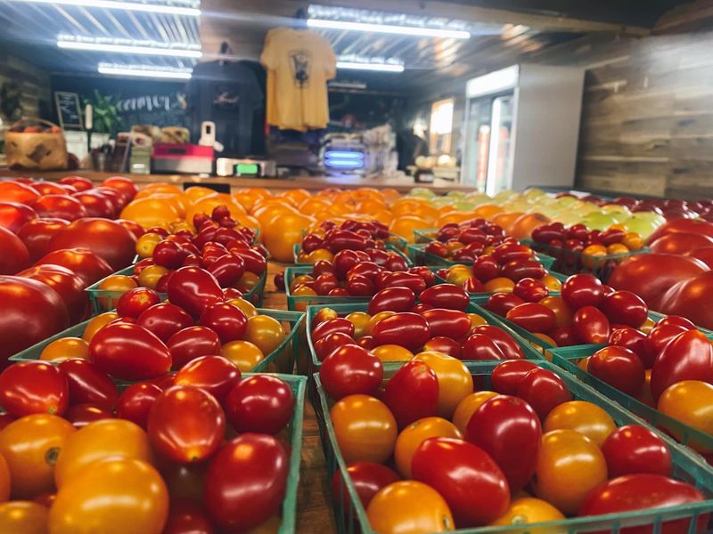 Summer Turns The Produce Tables Into A Color Wheel