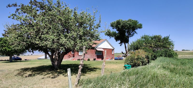 Finding The House Means Trusting A Dirt Road