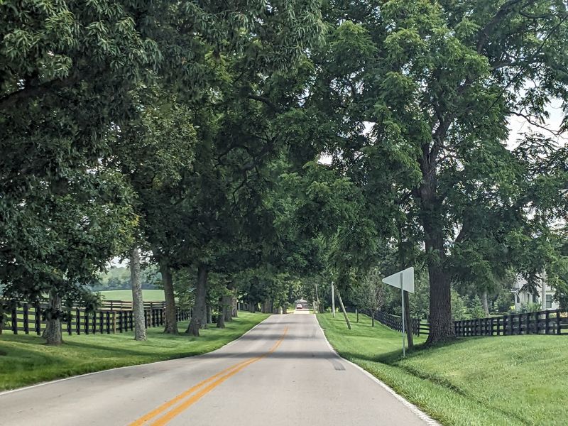 Kentucky Has A Breathtaking Tree Tunnel Road, And It Looks Straight Out Of A Movie - Decor Hint Here Comes The Tree Tunnel Everyone Talks About
