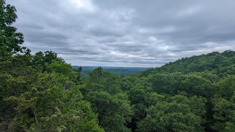 Bring Binoculars, Because The Birds Show Up In Big Numbers