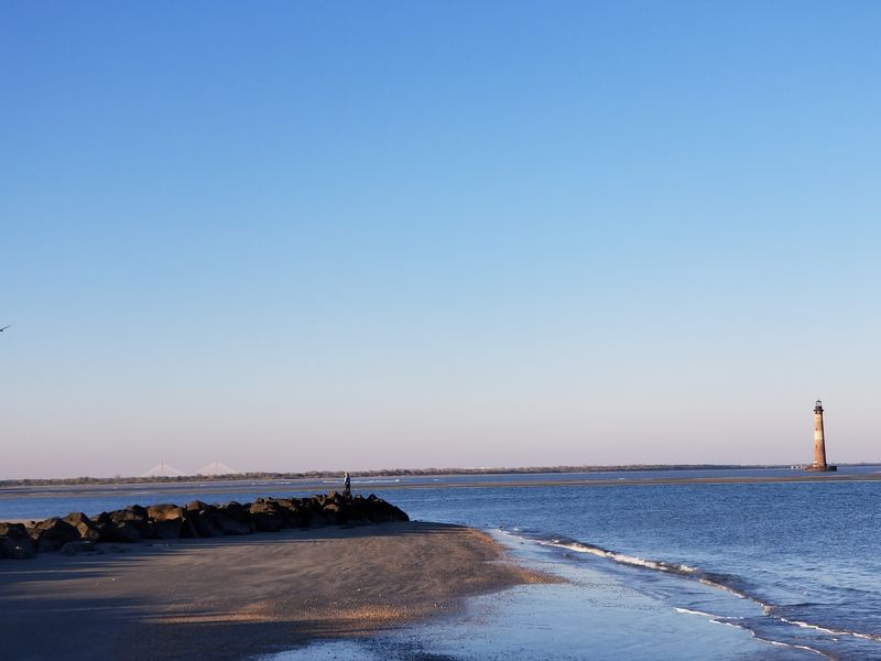 Where Ocean Meets Wild Marsh