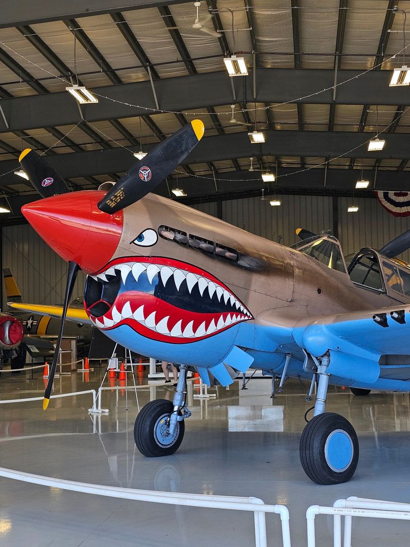 Warbirds With Serious Star Power