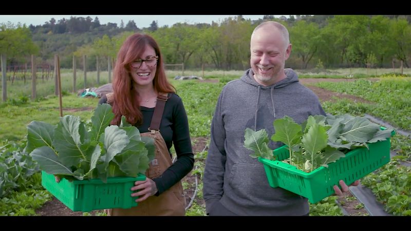 A Husband-And-Wife Team Created The Restaurant