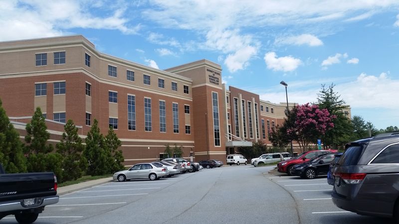 Juniors Trade Classrooms For Real Workplaces
