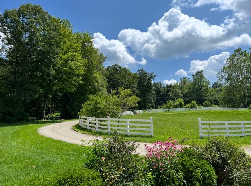 A Racehorse With Famous Roots Lives Quietly Here