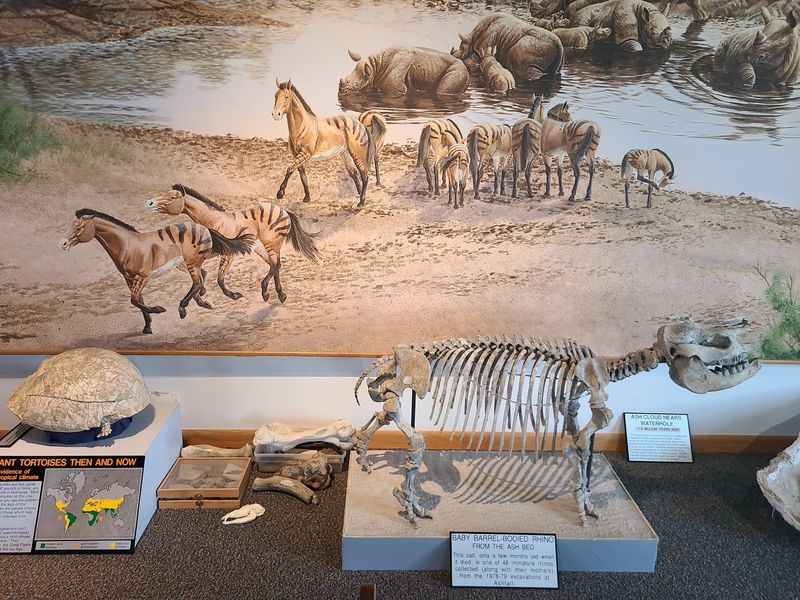 A Visitor Center Where The Lab Work Happens In Plain Sight