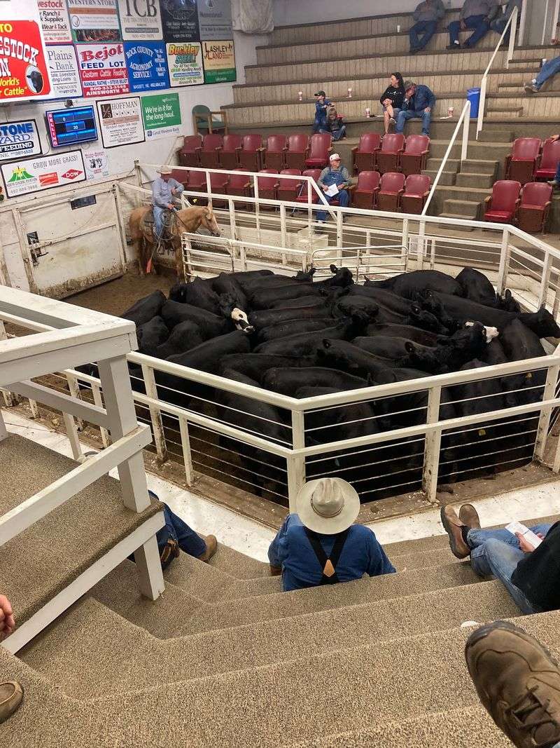 Since 1937 This Nebraska Sale Barn Cafe Has Fed Ranchers Hot Beef Sandwiches On Auction Day - Decor Hint A Sale Barn That Proves Small Towns Still Matter