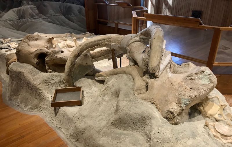 Why These Locked Tusks Earn A Spot On Your Nebraska List