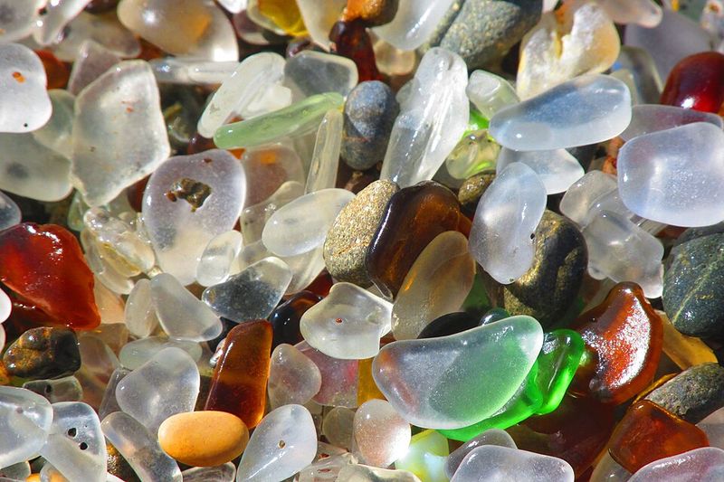 Pebble Patches And Seaweed Lines Hide The Good Stuff