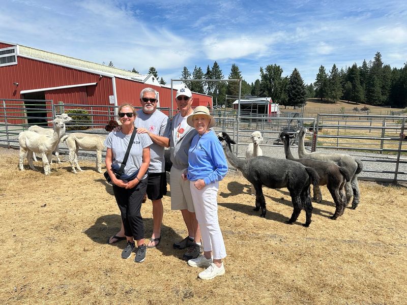Booking Your Barnyard Afternoon