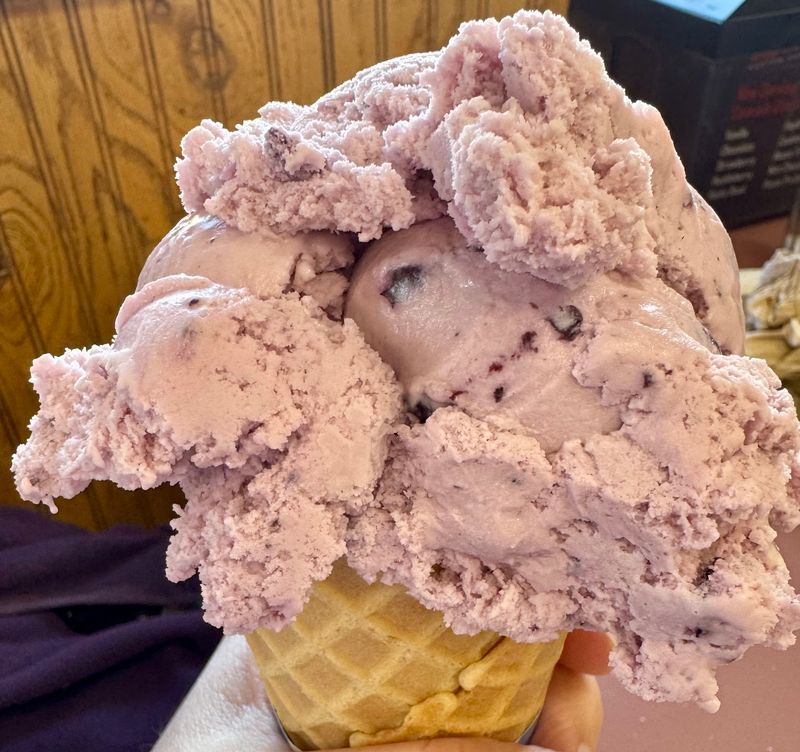 Save Room For A Huckleberry Shake In A Metal Cup