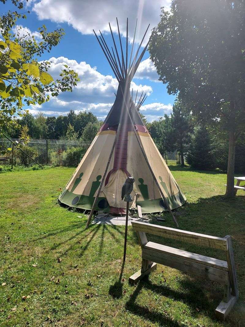 Camping, Cameras, And Feeding Time