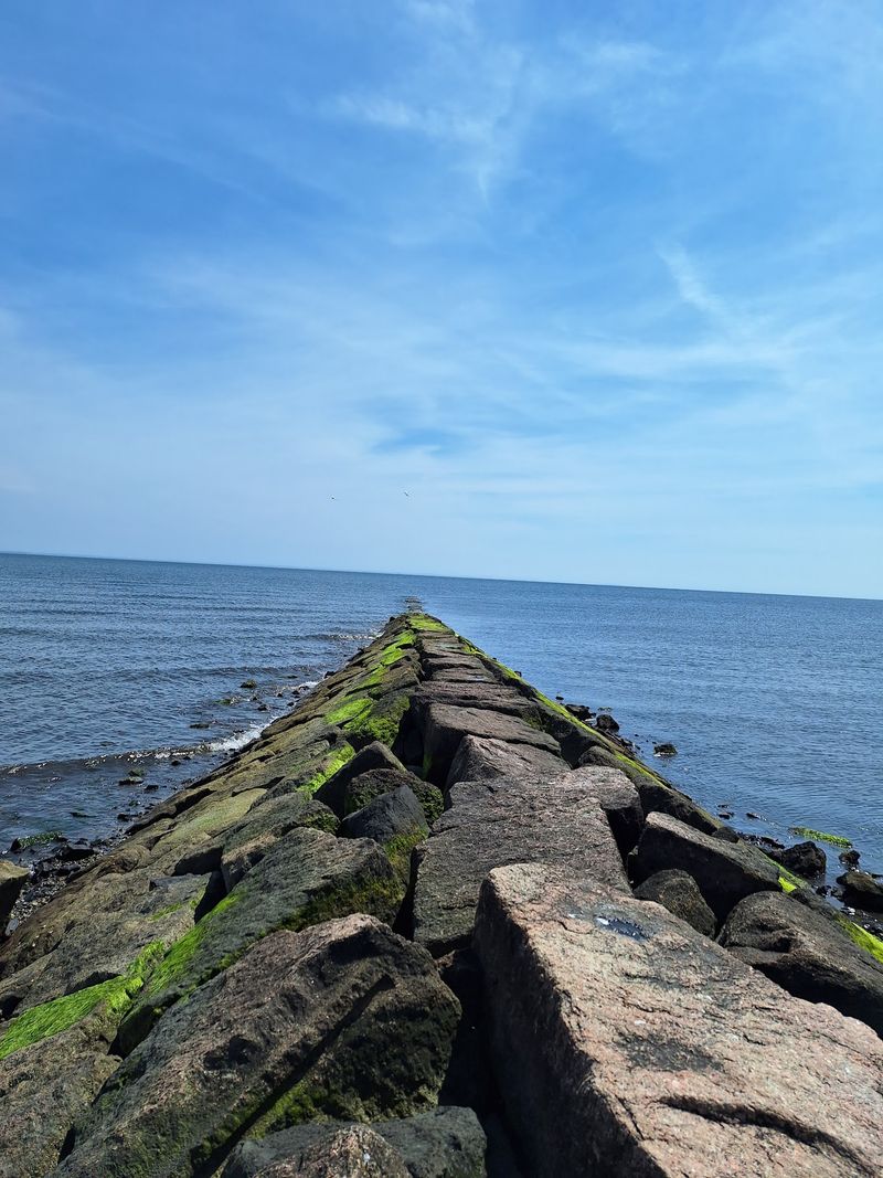 Your Appetite Gets a Waterfront Seat