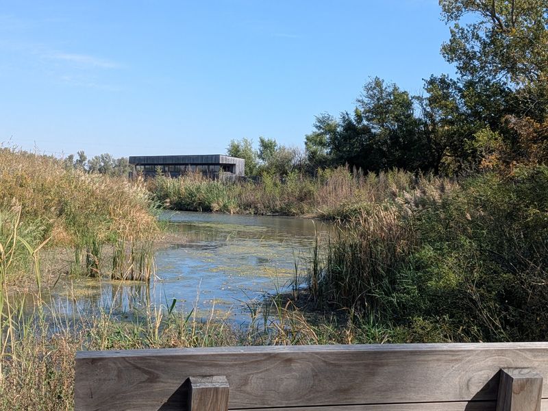 Over 400,000 Sandhill Cranes Roost At This Nebraska Sanctuary And Viewing Blinds Book Up By Winter - Decor Hint Getting There, Hours, and Who Will Love It