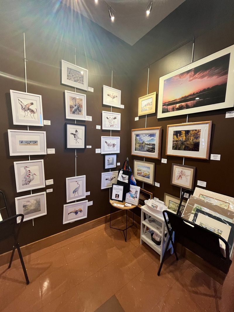 Hundreds Of Sandhill Cranes Leave But This Nebraska River Center Keeps Its Blind Open All Year - Decor Hint Gallery Walls Full of Wings