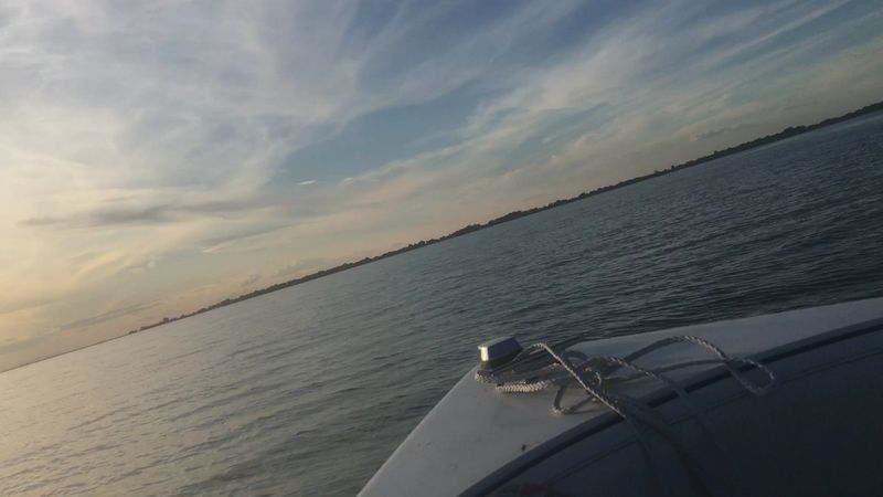 The Lake's Loud Summer Side