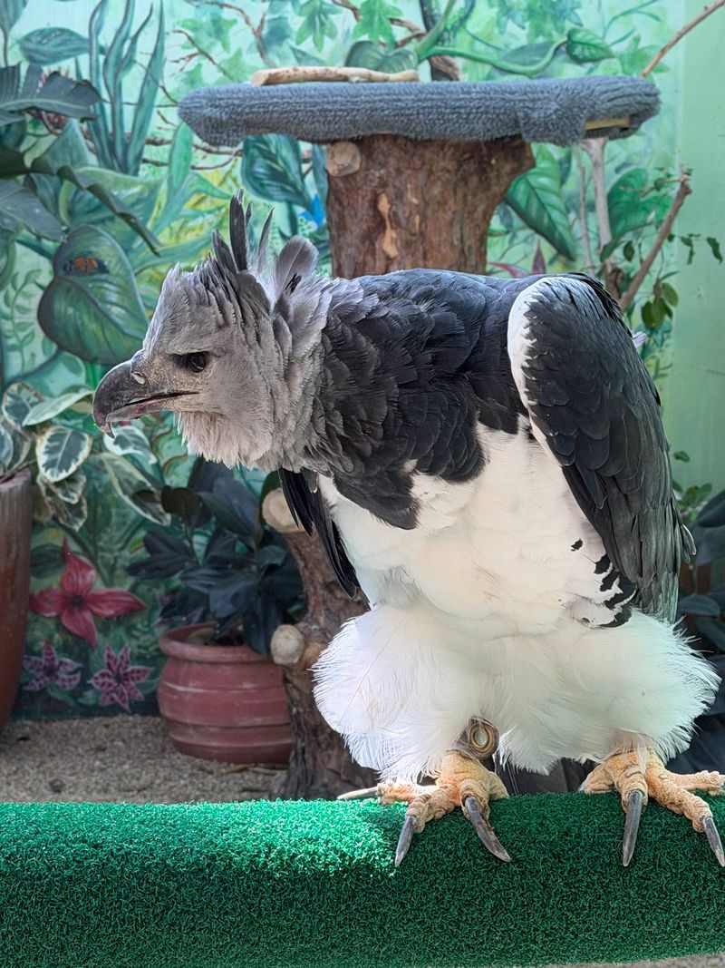 Curious Kids, Bird Skeptics, And Everyone Between