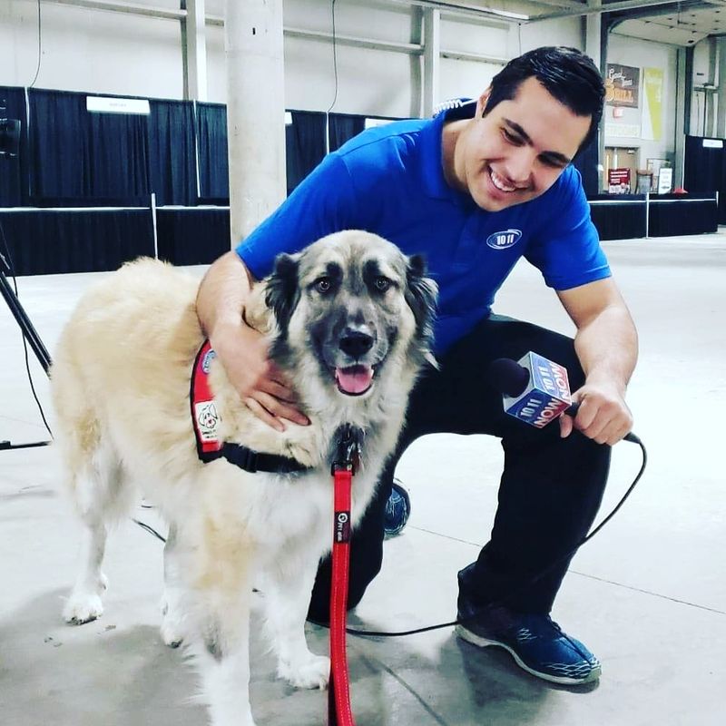 Inmate Trainers Add An Unexpected Chapter