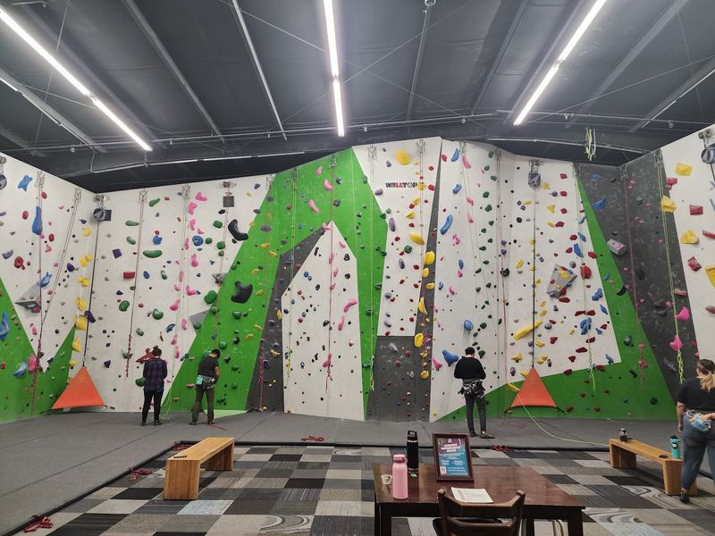 Gym Dogs, Cheering Strangers, And A Relaxed Crowd