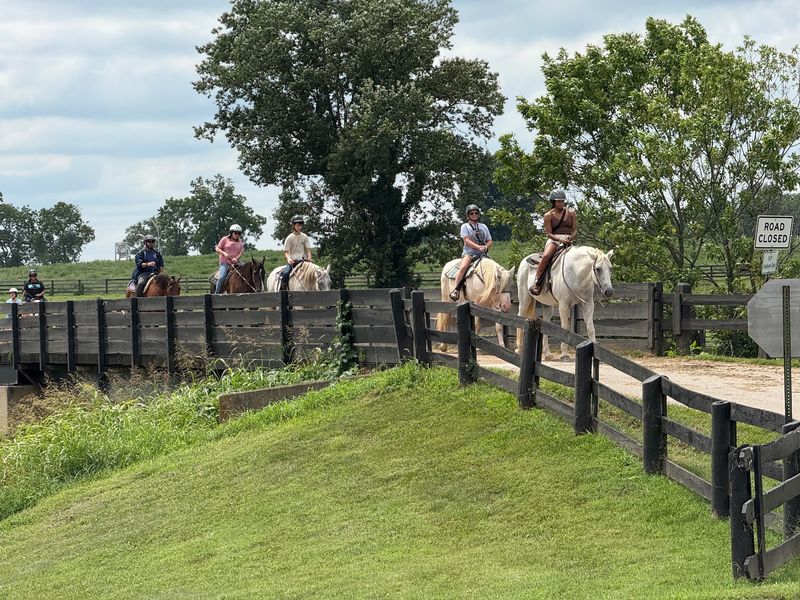 Climb Into The Saddle For A Trail Ride