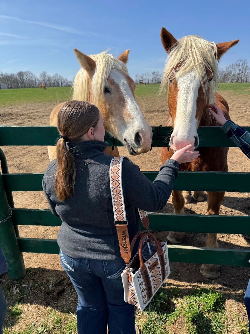 BraveHearts Equine Center