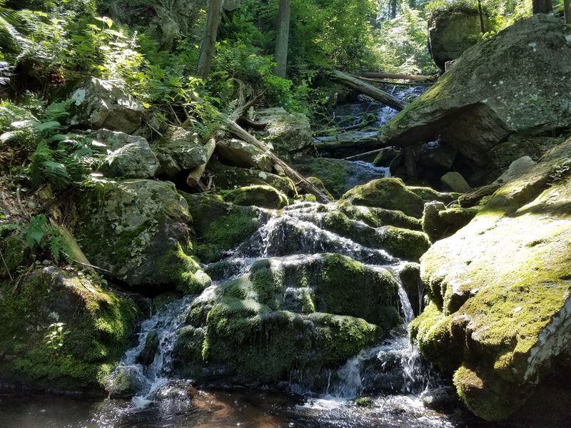 An Ancient Seafloor Hiding In Lebanon And Schuylkill Counties