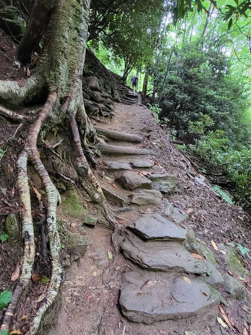 Look For The Trail Across From The Looking Glass Rock Overlook At Milepost 417