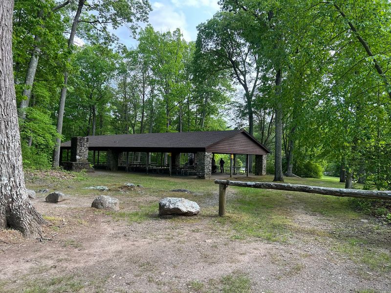 A Picnic Shelter Big Enough For The Whole Family Tree