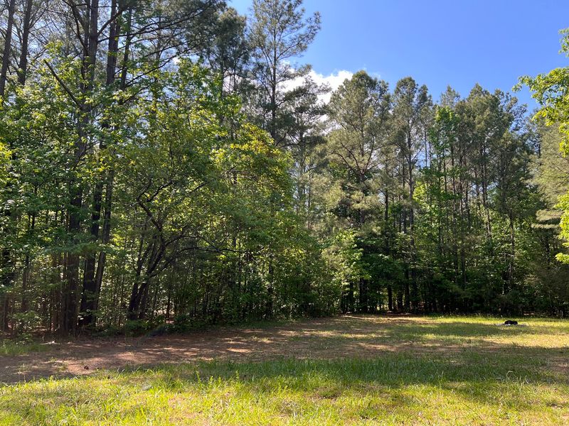 Look For Deer, Turkeys, And Other Wildlife Along The Trail