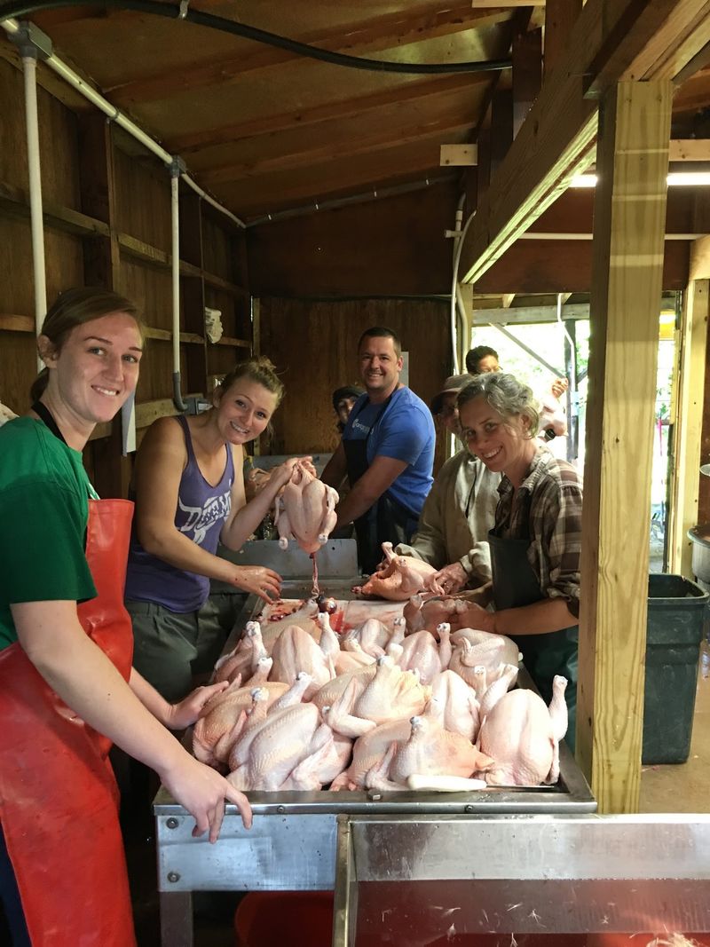 Pick Up Pasture-Raised Chicken, Turkey And Duck Alongside The Beef And Pork