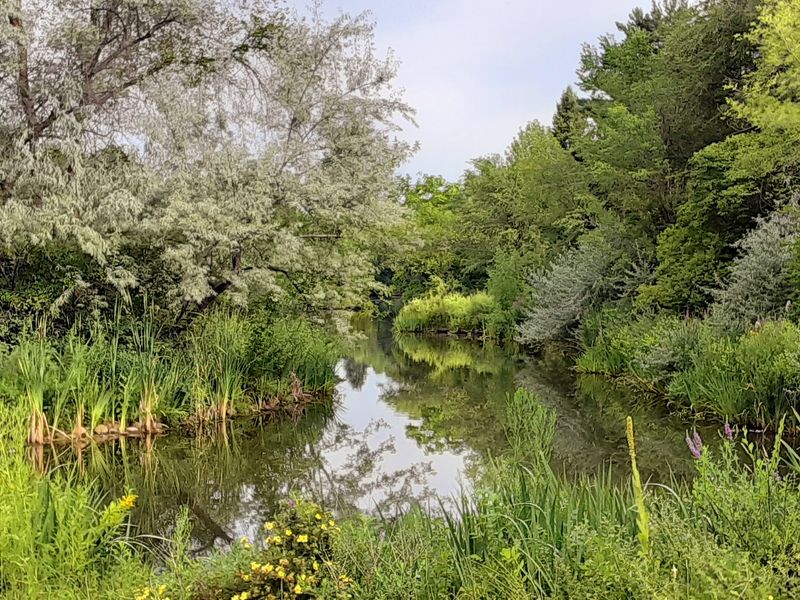 A 41-Acre Wildlife Refuge Hiding In Plain Sight Near Downtown
