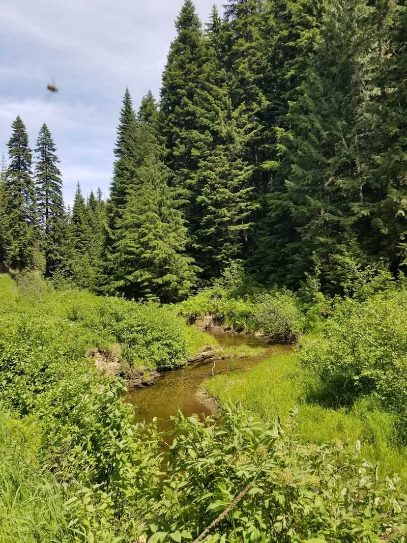 Idaho Is Home To The Only Place In North America Where Visitors Pick Up Six-Sided Opal-Like Hexagons Called Emerald Creek Garnets - Decor Hint An Official State Gem With Billion-Year Roots