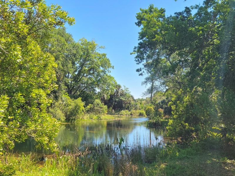 Shady Trails, Quiet Ponds, And A Garden Built For Kids