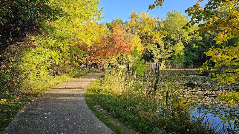 Quiet Couples, Curious Kids, And Camera-Toting Birders