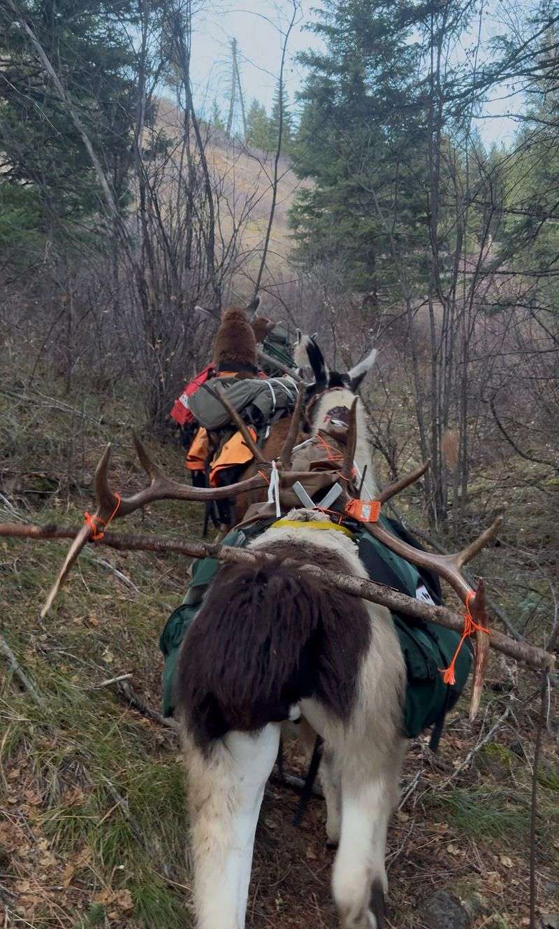 Where Hunters Find An Edge
