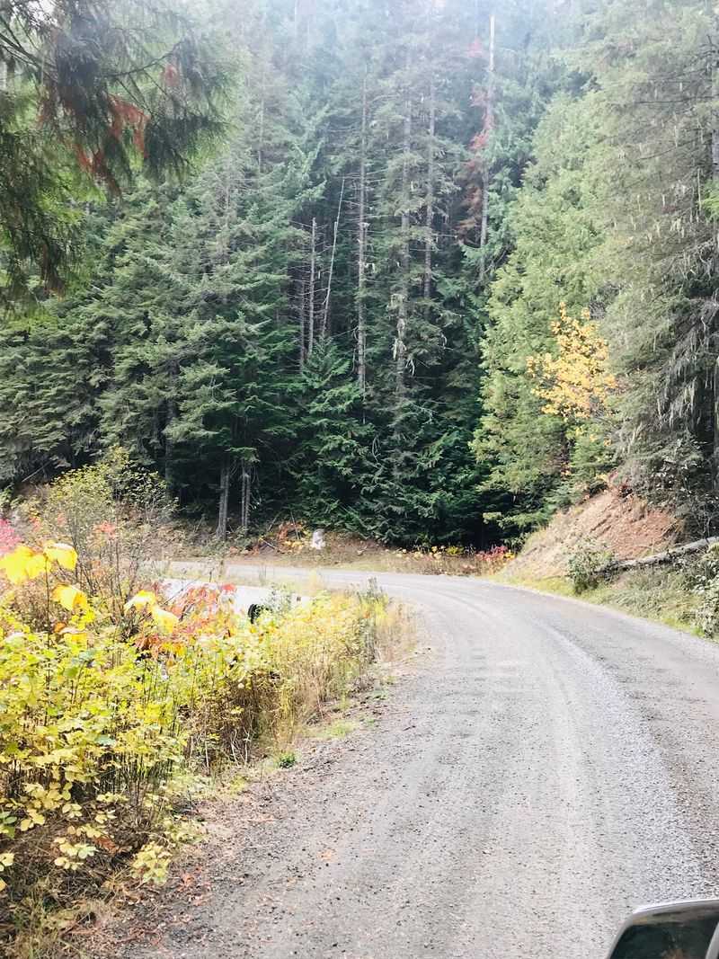Idaho Is Home To The Only Place In North America Where Visitors Pick Up Six-Sided Opal-Like Hexagons Called Emerald Creek Garnets - Decor Hint Highway 3, A Forest Road, And A Short Uphill Hike