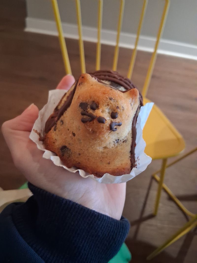 Over 200 Cats Have Found Homes Thanks To This North Carolina Cat Lounge, And One Visit Could Change Your Life - Decor Hint Yes, The Muffins Are Shaped Like Cats