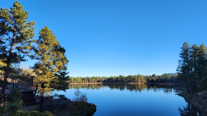 Pines, Peaks, And Starry Skies
