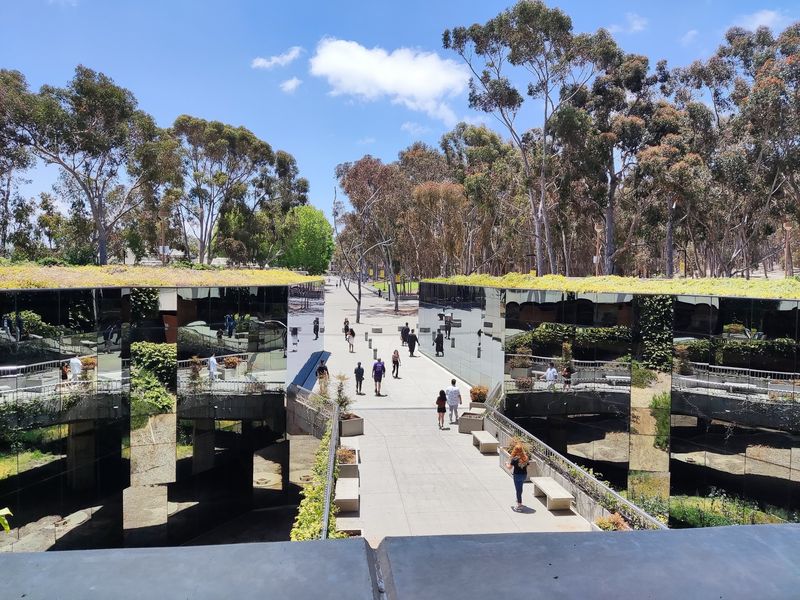 UC San Diego: No. 4 Public, Science By The Sea