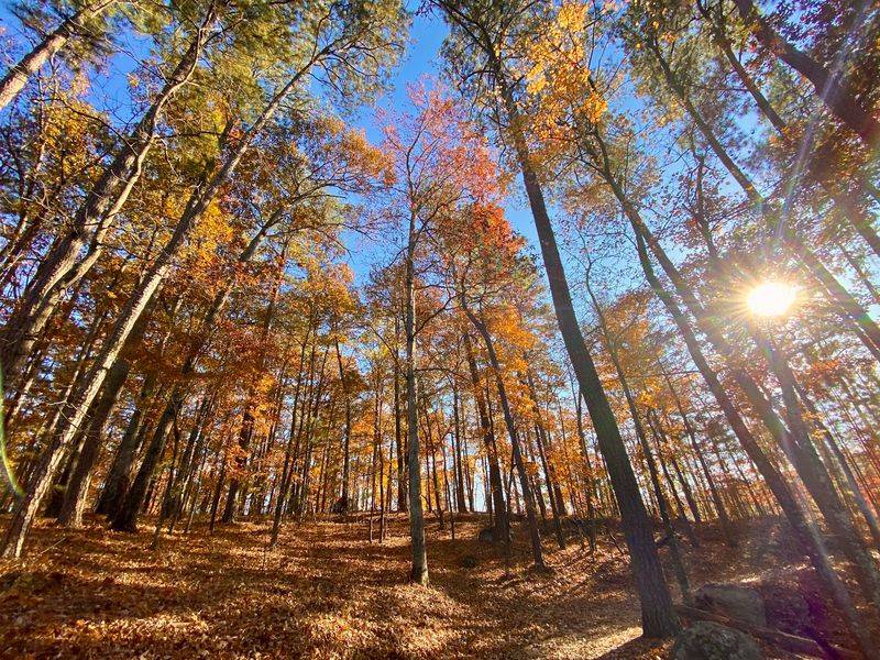 Red Top Mountain State Park
