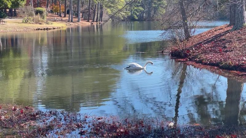 This Georgia University Ranked No. 1 Among Small Colleges And Its Affordable Education Is Turning Heads - Decor Hint Five Lakes And A Whole Lot Of Calm