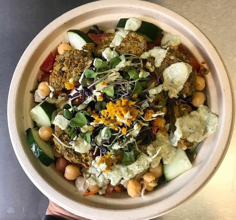 11 Top-Rated Vegan Restaurants In Connecticut Worth Adding To Your Food List - Decor Hint Wild Alchemy Café, Wallingford