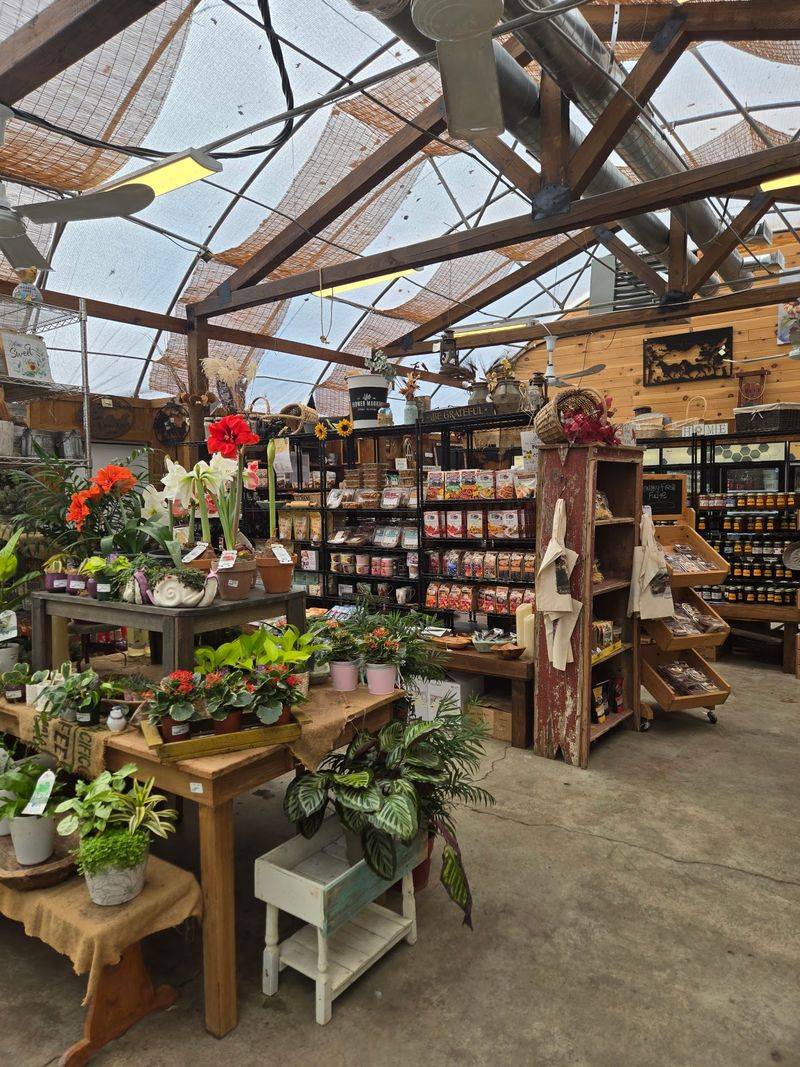 The Country Barn Garden & Farm Market