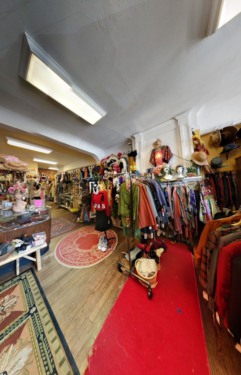 Fashionista Vintage & Variety