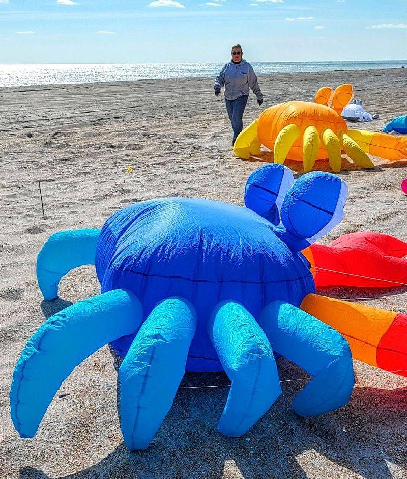 This North Carolina Beach Will Fill With Hundreds Of Giant Kites For One Colorful October Weekend - Decor Hint Arrive Between 10 A.M. And 4 P.M. When The Best Flying Is Expected