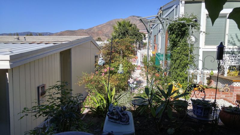 Valencia Lea Adult Mobile Home